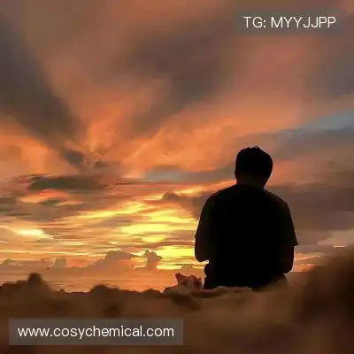 滑溪肖